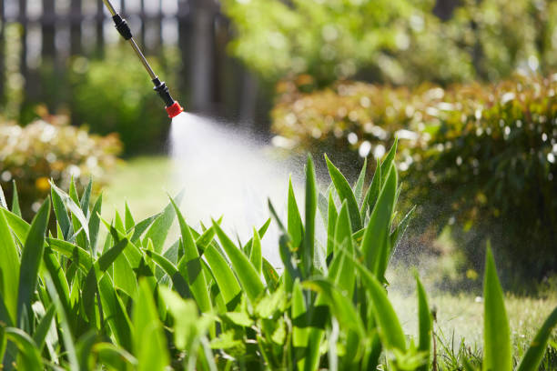 24/7 Emergency Ant Control experts in Richwood, OH