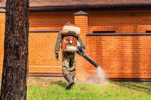 Trusted Rodent Control service in Richwood, OH - Nex Pest Control